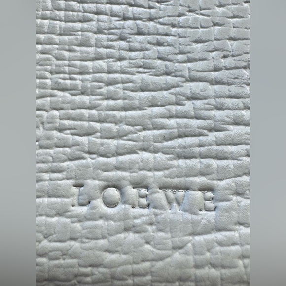 Loewe pouch Full Inclusion with COA - Picture 10 of 16